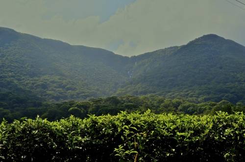 Deniyaya Sri Lanka Promo Code Booking.com