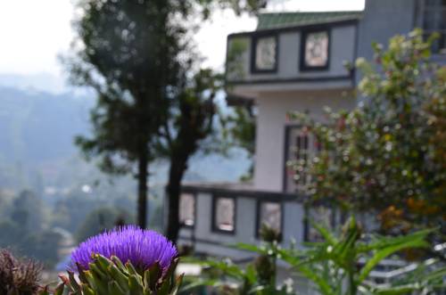 Nuwara Eliya Sri Lanka Promo Code Booking.com