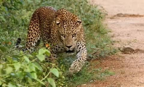 Tissamaharama Sri Lanka Promo Code Booking.com