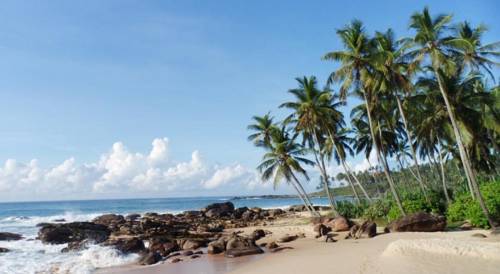 Tangalle Sri Lanka Promo Code Booking.com