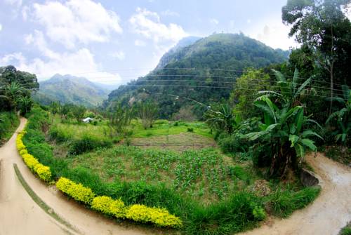 Ella Sri Lanka Promo Code Booking.com