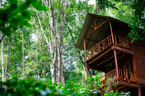 Ella Sri Lanka Promo Code Agoda.com