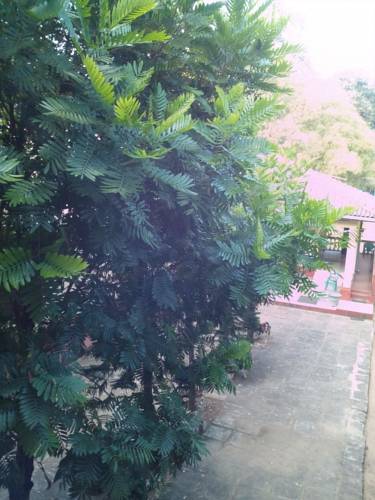 Dambulla Sri Lanka Promo Code Booking.com
