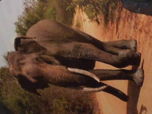 Galle Sri Lanka Promo Code Booking.com