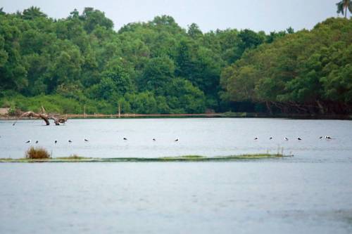 Tangalle Sri Lanka Promo Code Booking.com