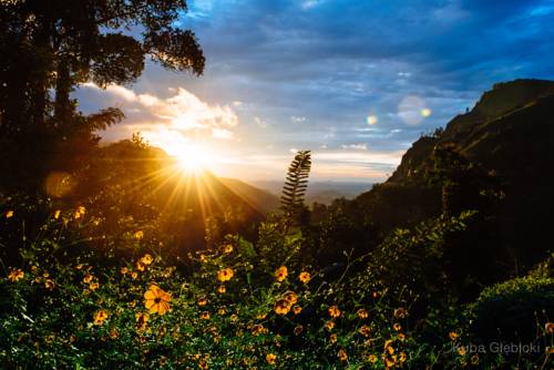 Ella Sri Lanka Promo Code Booking.com