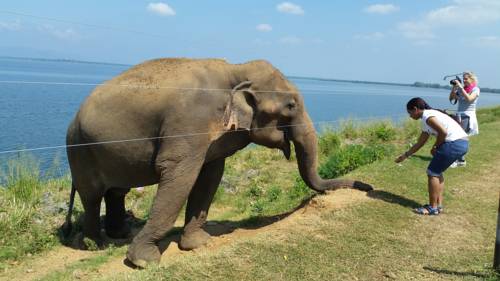 Kandy Sri Lanka Promo Code Booking.com