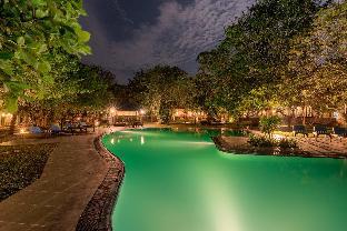 Yala Sri Lanka Promo Code Agoda.com
