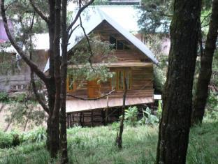 Nuwara Eliya Sri Lanka Promo Code Agoda.com