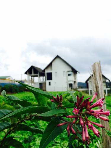 Nuwara Eliya Sri Lanka Promo Code Booking.com