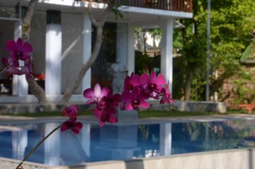 Bentota Sri Lanka Promo Code Booking.com