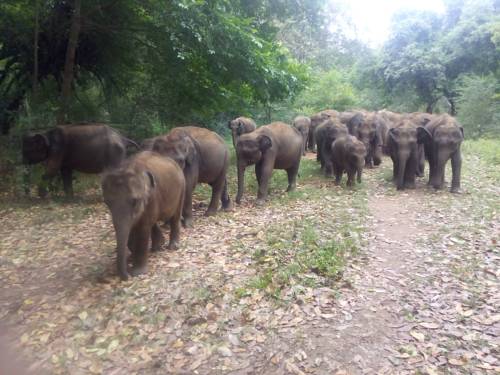 Embilipitiya Sri Lanka Promo Code Booking.com