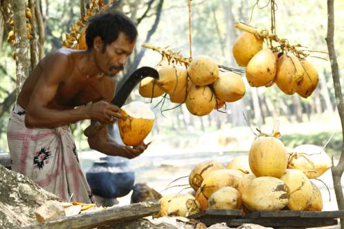 Kirinda Sri Lanka Promo Code Booking.com