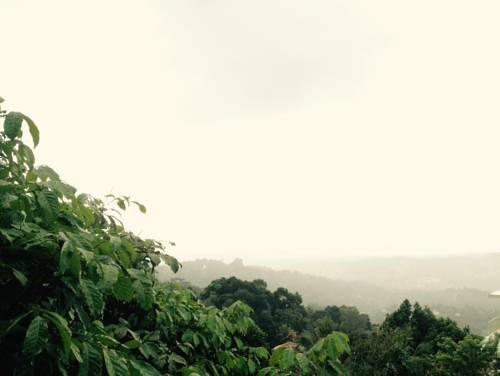 Kandy Sri Lanka Promo Code Booking.com
