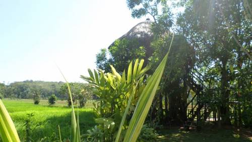 Hikkaduwa Sri Lanka Promo Code Booking.com