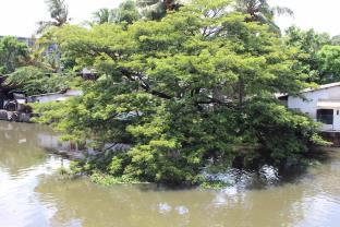 Colombo Sri Lanka Promo Code Agoda.com