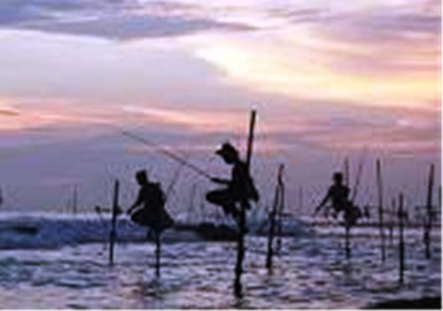 Weligama Sri Lanka Promo Code Booking.com