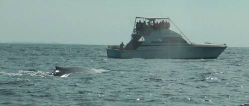 Mirissa South Sri Lanka Promo Code Booking.com