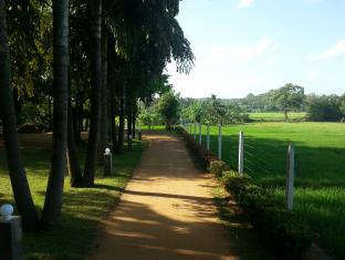 Sigiriya Sri Lanka Promo Code Agoda.com