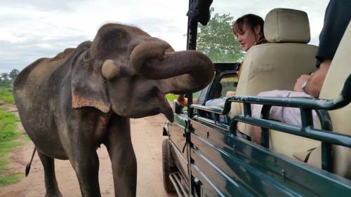 Udawalawe Sri Lanka Promo Code Booking.com