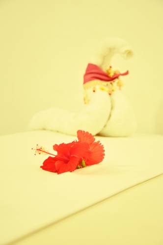 Arugam Sri Lanka Promo Code Booking.com