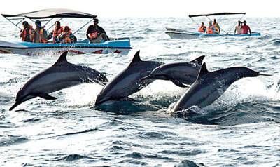 Odakkarai Sri Lanka Promo Code Booking.com