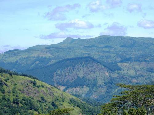 Dambulla Sri Lanka Promo Code Booking.com