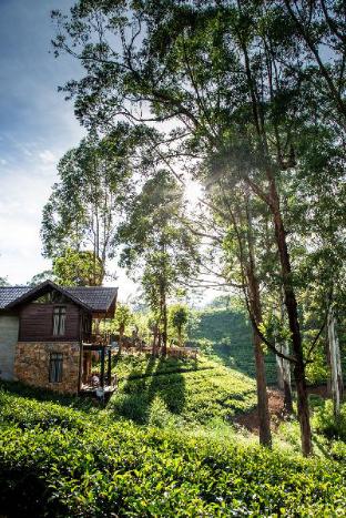 Nuwara Eliya Sri Lanka Promo Code Agoda.com