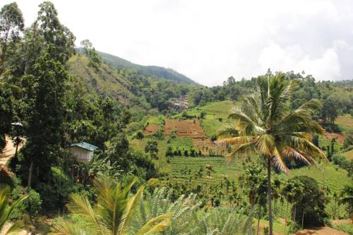 Ella Sri Lanka Promo Code Booking.com
