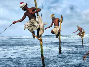 Mirissa Sri Lanka Promo Code Agoda.com