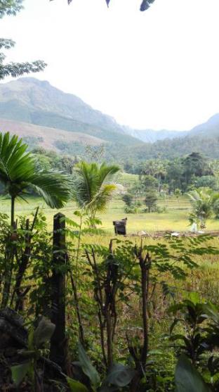 Rathnapura Sri Lanka Promo Code Agoda.com