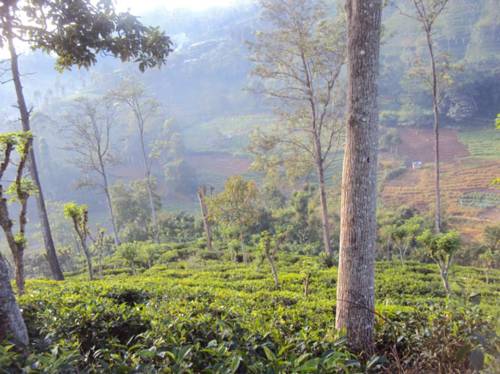 Ella Sri Lanka Promo Code Booking.com