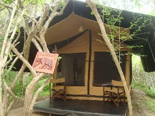 Yala Sri Lanka Promo Code Agoda.com
