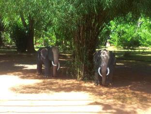 Udawalawe Sri Lanka Promo Code Agoda.com