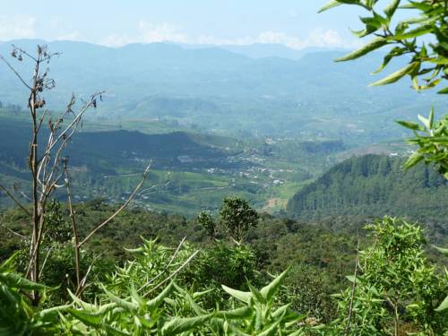 Nuwara Eliya Sri Lanka Promo Code Booking.com