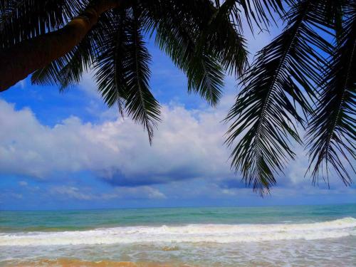 Bentota Sri Lanka Promo Code Agoda.com