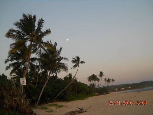 Mirissa Sri Lanka Promo Code Booking.com