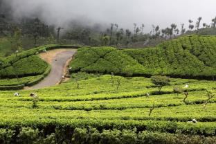 Ella Sri Lanka Promo Code Agoda.com