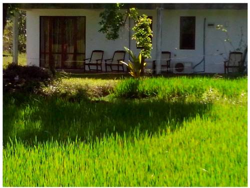 Habarana Sri Lanka Promo Code Booking.com