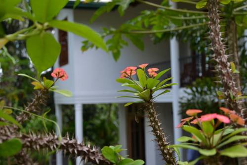 Kandy Sri Lanka Promo Code Booking.com