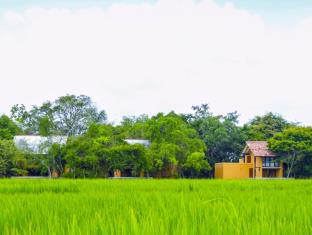 Anuradhapura Sri Lanka Promo Code Agoda.com