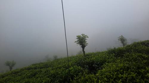 Nawalapitiya Sri Lanka Promo Code Booking.com