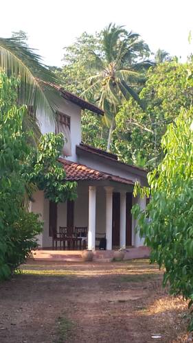 Kosgoda Sri Lanka Promo Code Booking.com