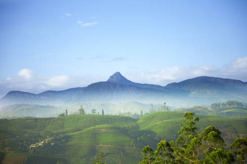 Hatton Sri Lanka Promo Code Booking.com