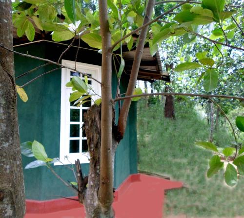 Ella Sri Lanka Promo Code Agoda.com
