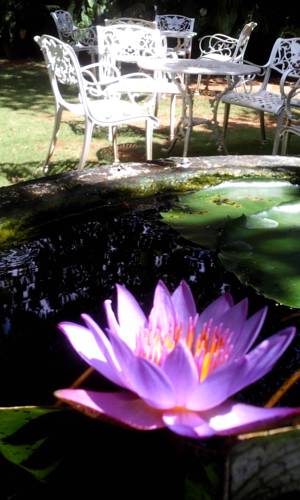Mihintale Sri Lanka Promo Code Booking.com