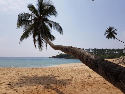 Tangalle Sri Lanka Promo Code Agoda.com