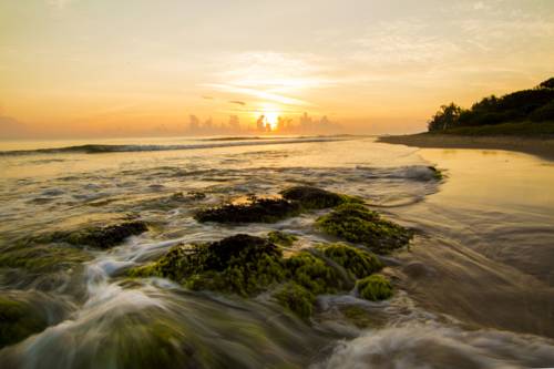 Arugam Sri Lanka Promo Code Booking.com