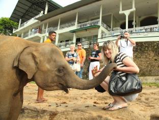Pinnawala Sri Lanka Promo Code Agoda.com