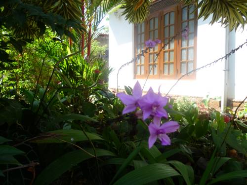 Kalutara Sri Lanka Promo Code Booking.com